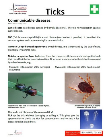 Ticks - 2